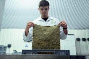 The Future of Sustainable and Eco-Friendly Housing