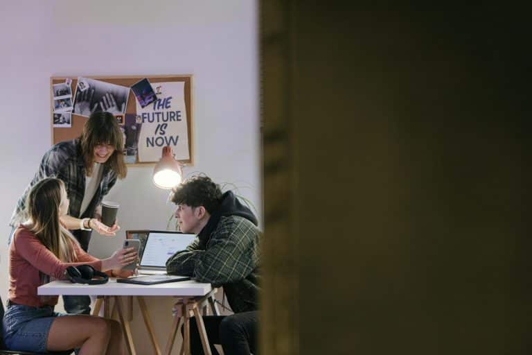 The Future of Collaborative Work Environments