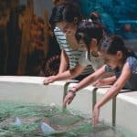 The Transformative Power of Curiosity and Learning