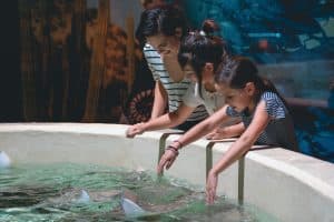 The Transformative Power of Curiosity and Learning