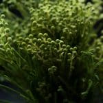 Strategies for Holistic Educational Growth