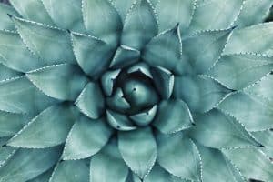 Synthetic Quantum Fabric Computational Approaches Transforming Design