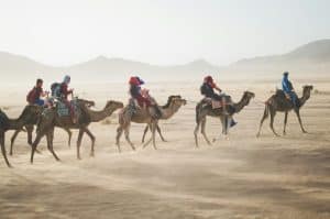 Transforming travel planning through innovative technology