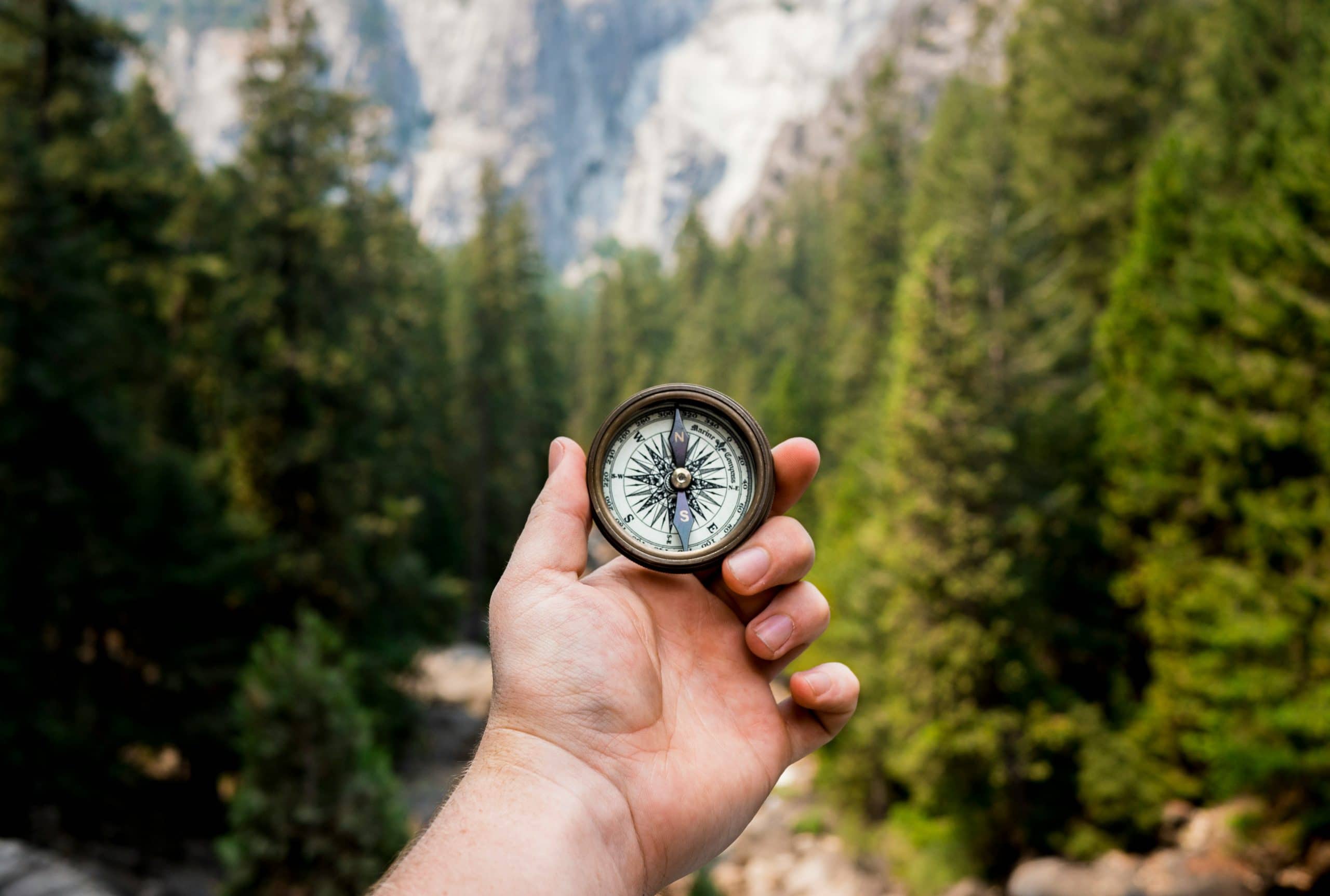 Navigating travel challenges with creativity and resilience