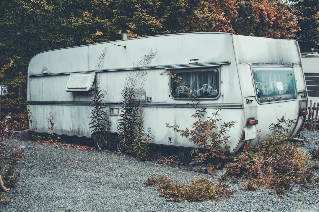 Subscription-Based Vehicle Access Models Explained