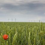 The Most Innovative Electronic Solutions for Future Challenges