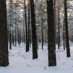 Intelligent Devices Redefining Boundaries of Personal Experience