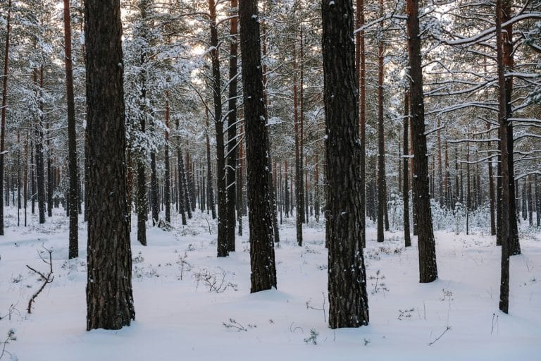 Intelligent Devices Redefining Boundaries of Personal Experience