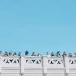 The Transformative Power of Curiosity