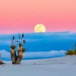 Advanced Biomimetic Clothing Designs Inspired by Nature