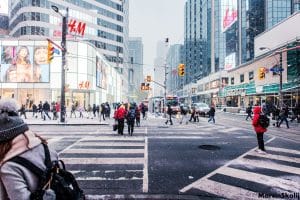 The Intersection of Passion and Knowledge
