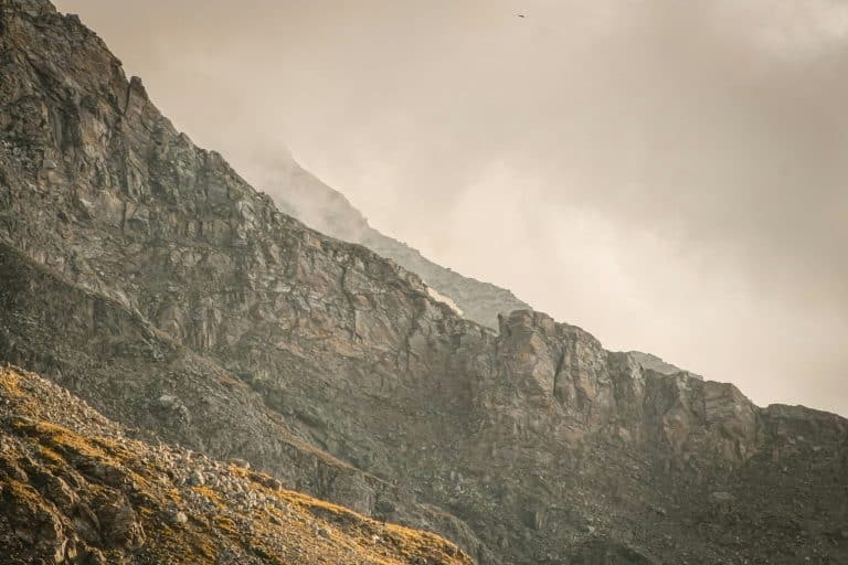 The Role of Advocacy in Transforming Environmental Legal Policies