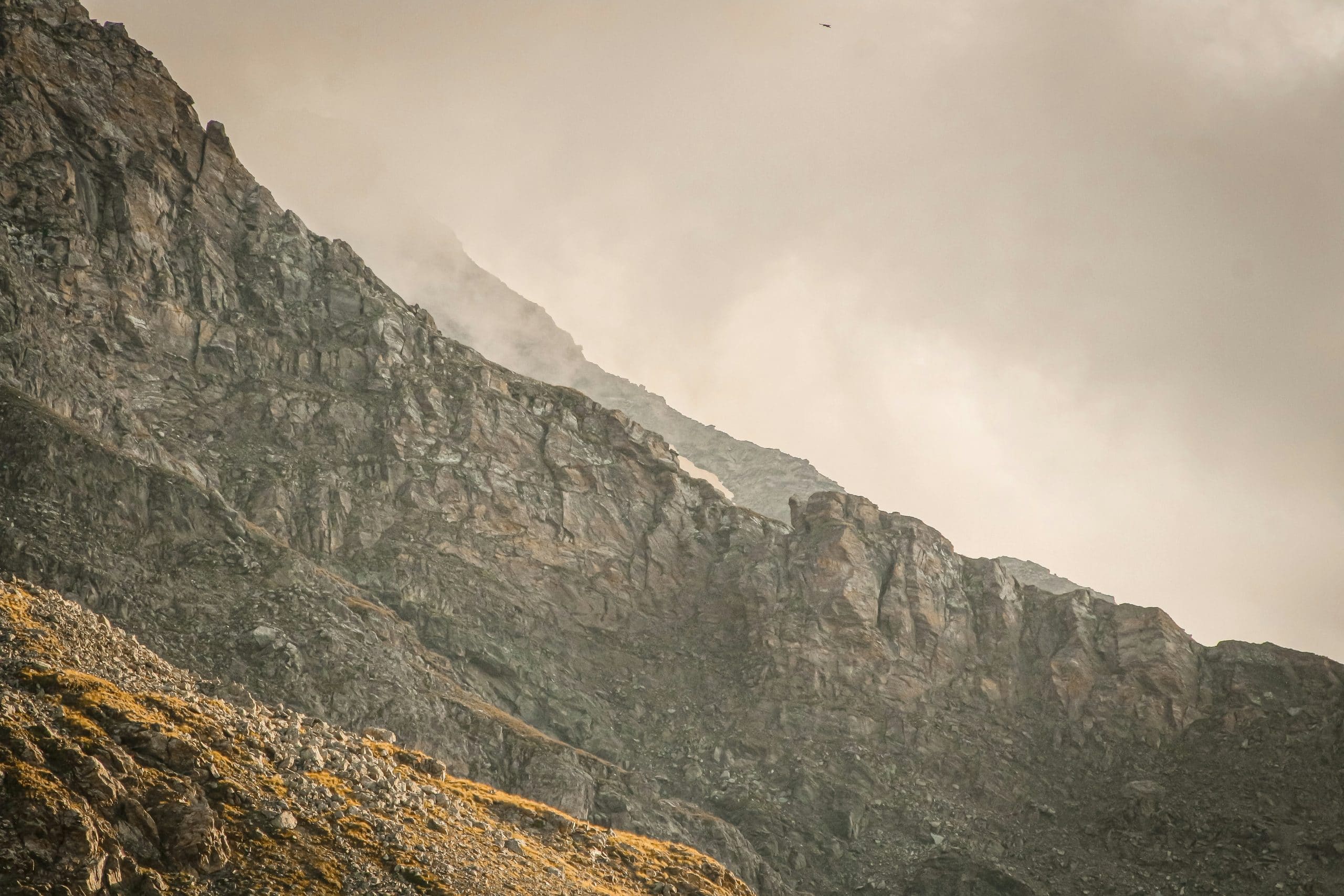 The Role of Advocacy in Transforming Environmental Legal Policies