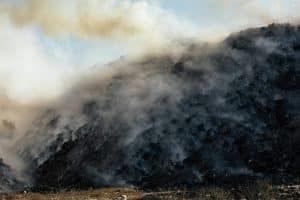 Understanding the Complexities of Environmental Legal Regulations