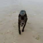 The comprehensive strategy for long-term travel sustainability