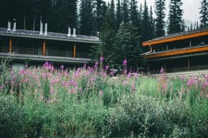 Cultivating a Mindset of Continuous Improvement